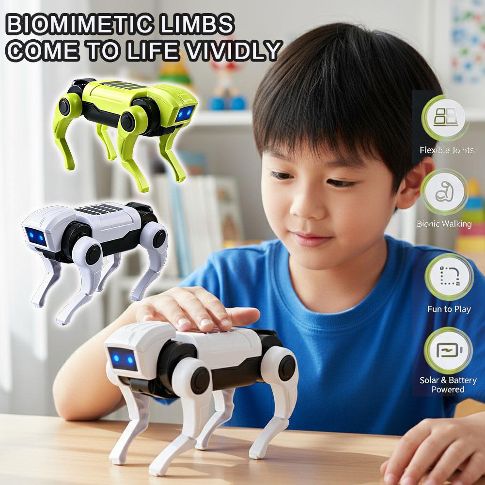 Science Project Robot - Mainan Anjing Robot RC Perakitan DIY