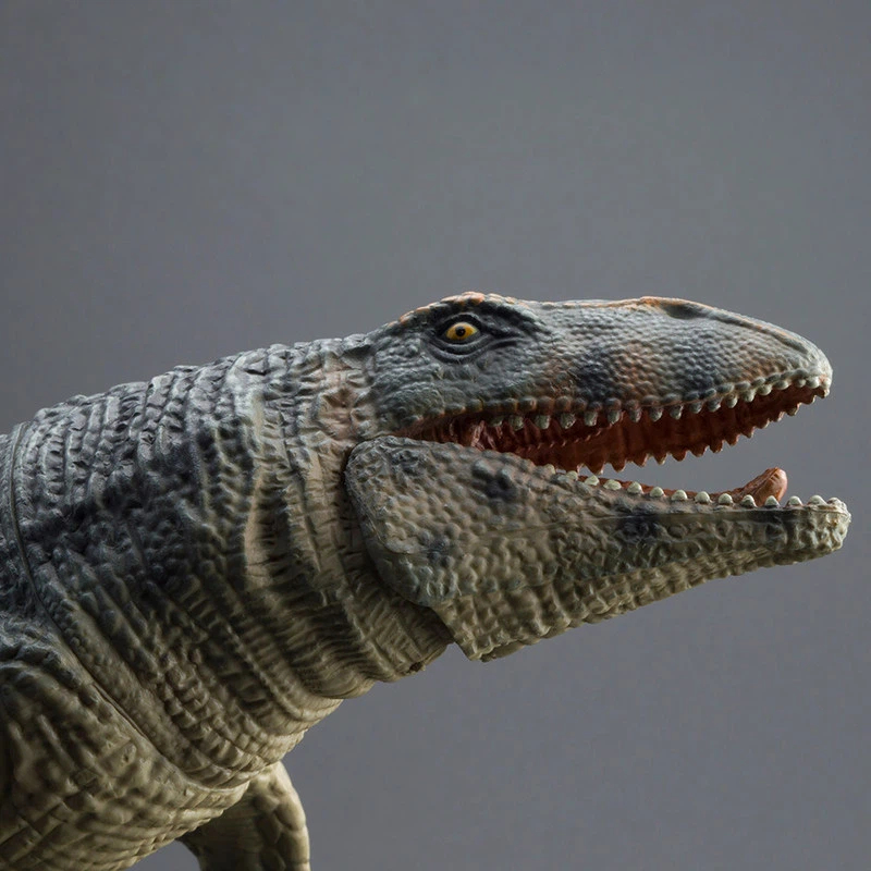 Science Toys - PROG Mainan Figurine Hewan Laut Jurassic