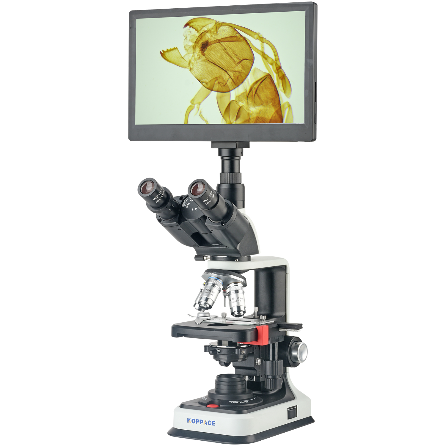 Microscope Compound 40X - Mikroskop Laboratorium Elektron KOPPACE 40X-2500X 2