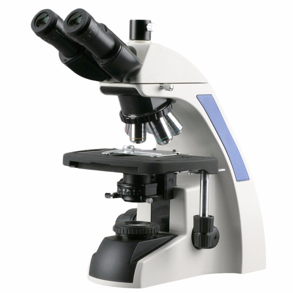 Mikroskop Trinokuler AmScope S - Microscope Compound 40X ulasan dan harga