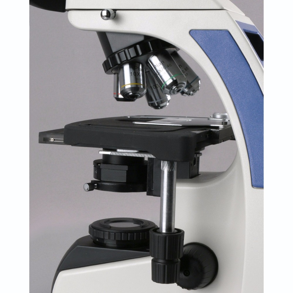 Mikroskop Trinokuler AmScope S - Microscope Compound 40X ulasan dan harga