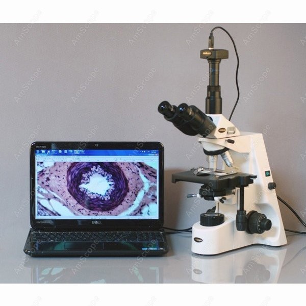 Mikroskop Biologi Senyawa AmSc - Microscope Compound 40X ulasan dan harga